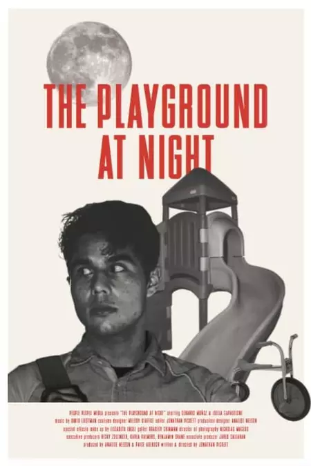 The Playground at Night