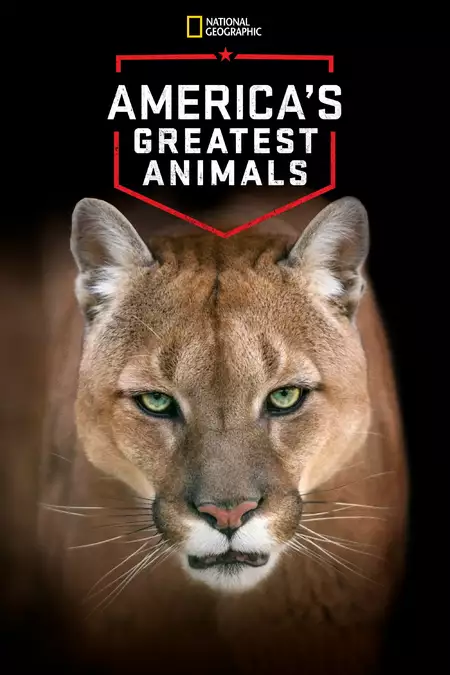 America's Greatest Animals