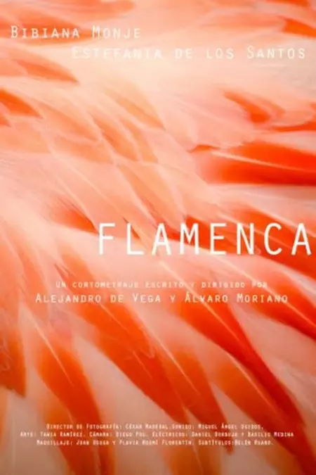 Flamenca