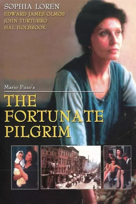 The Fortunate Pilgrim