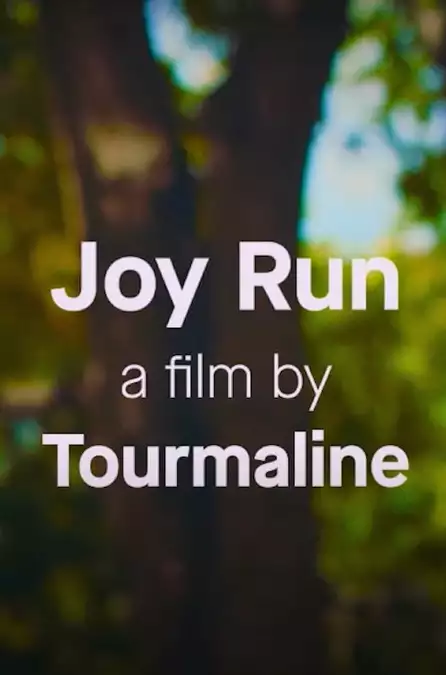 Joy Run