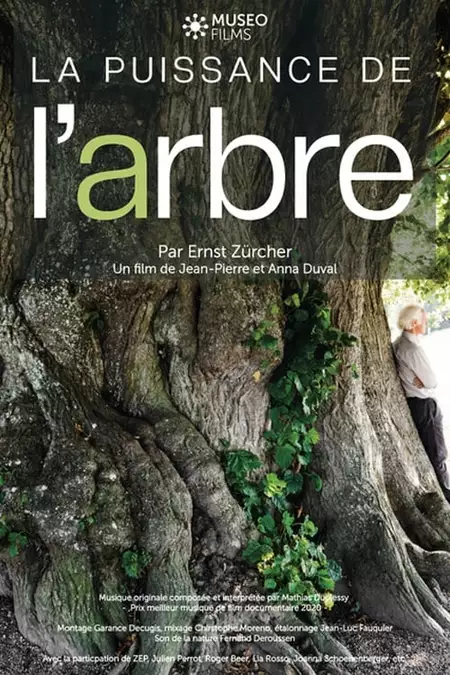 La Puissance de l’arbre avec Ernst Zürcher