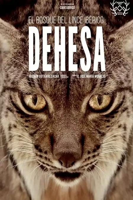 Dehesa: The Forest of the Iberian Lynx
