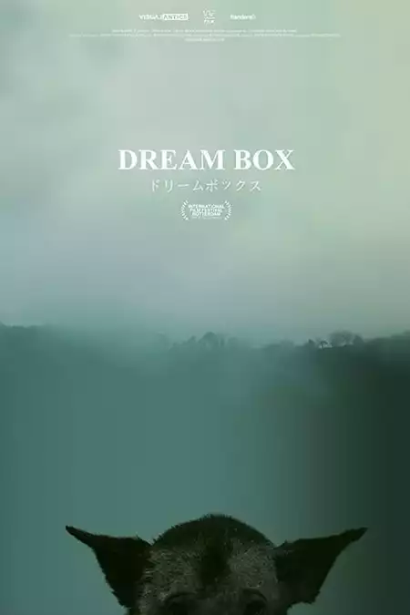 Dream Box