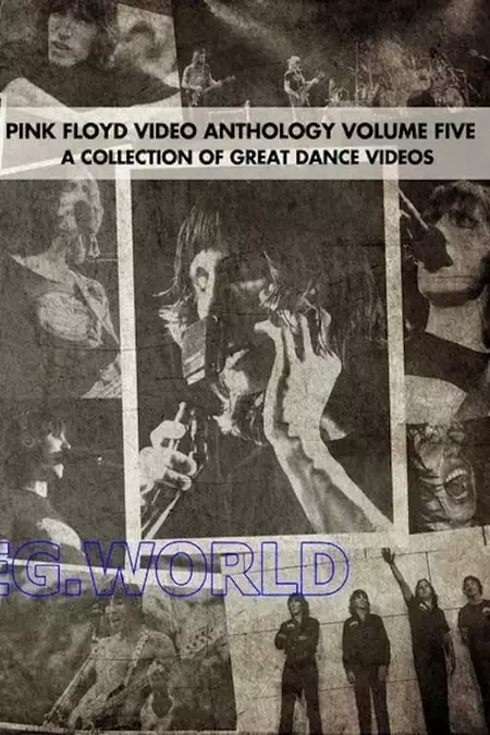 Pink Floyd:  Video Anthology Vol. 5