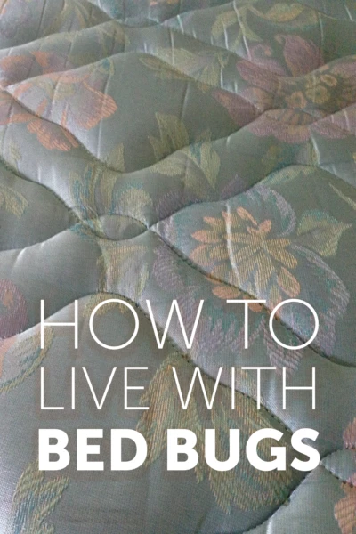 How to Live with Bed Bugs