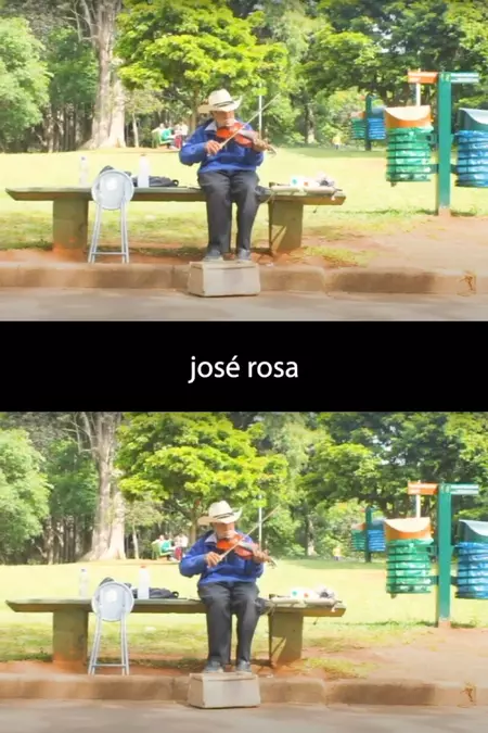 José Rosa