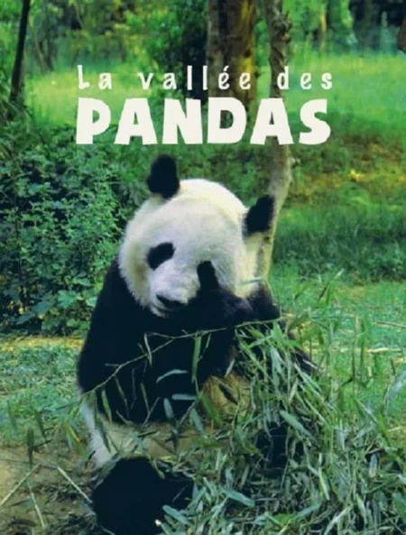 The Valley of the Pandas