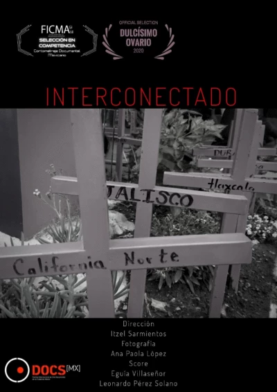 Interconectado