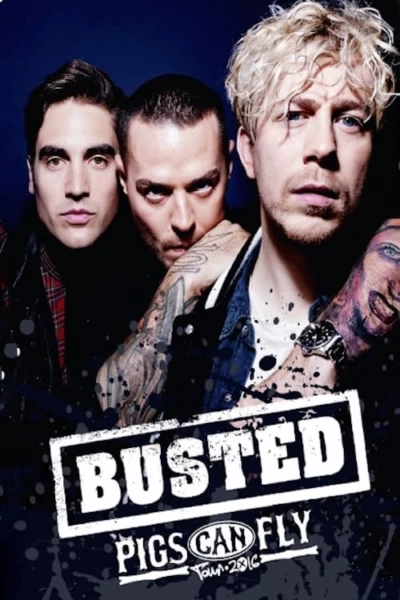 Busted: Pigs Can Fly Tour 2016