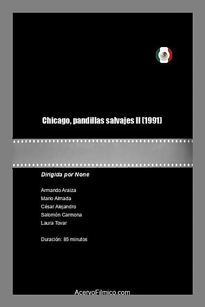 Chicago, pandillas salvajes II