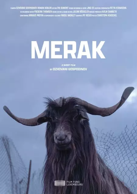 Merak