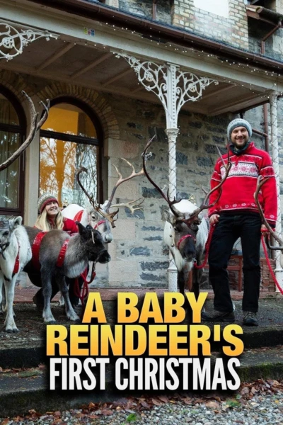 A Baby Reindeer's First Christmas