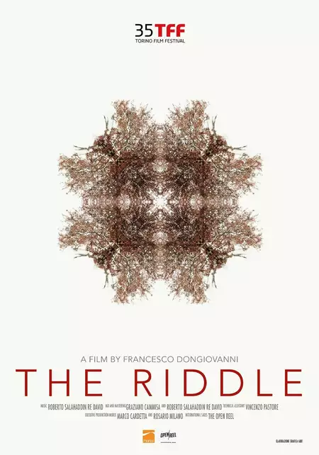 The Riddle