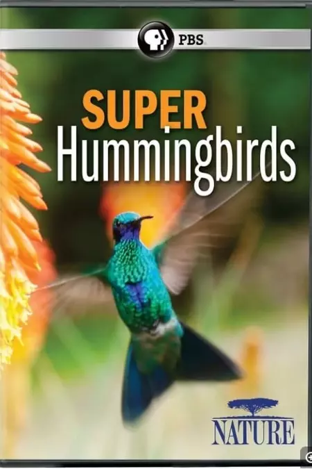 Super Hummingbirds