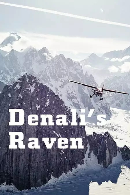 Denali’s Raven