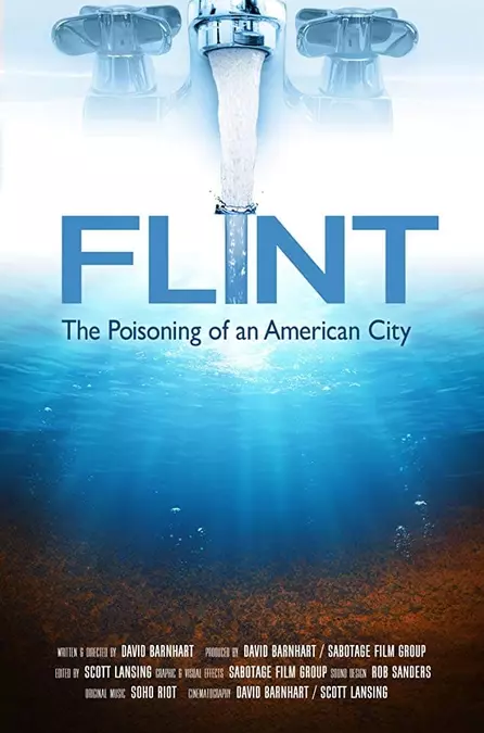 Flint: The Poisoning of an American City