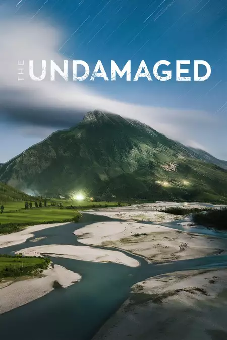 The Undamaged