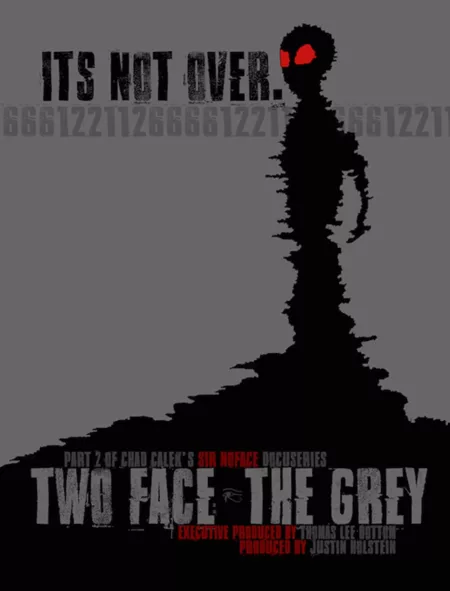 Two Face: The Grey