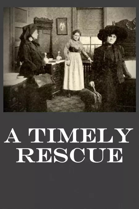 A Timely Rescue