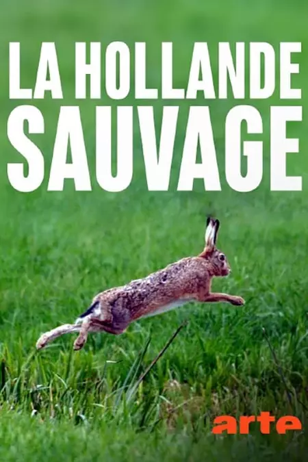 La Hollande sauvage - Dans l'oeil du delta