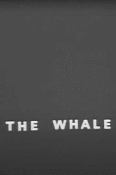 The Whale