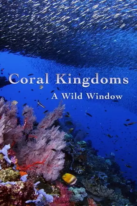 A Wild Window: Coral Kingdoms