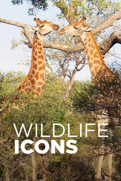 Wildlife Icons