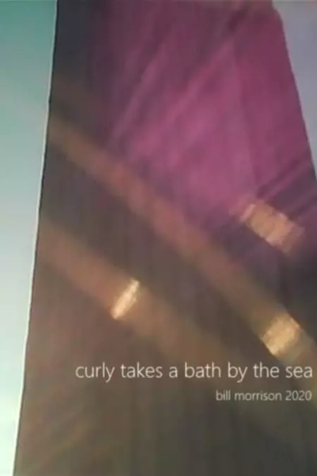 Curly Takes a Bath by the Sea