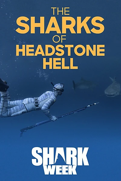 The Sharks Of Headstone Hell