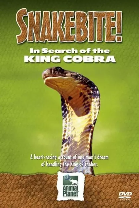 Snake Bite: In Search of the King Cobra