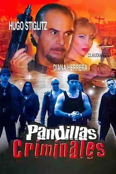 Pandillas criminales