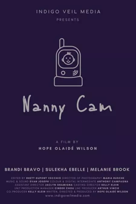 Nanny Cam