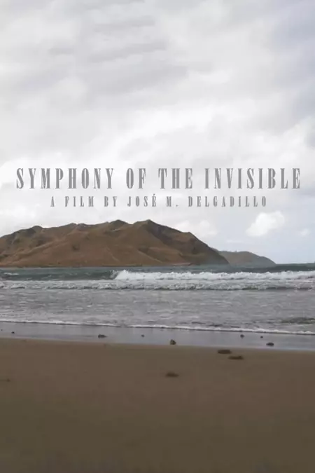 Symphony Of The Invisible