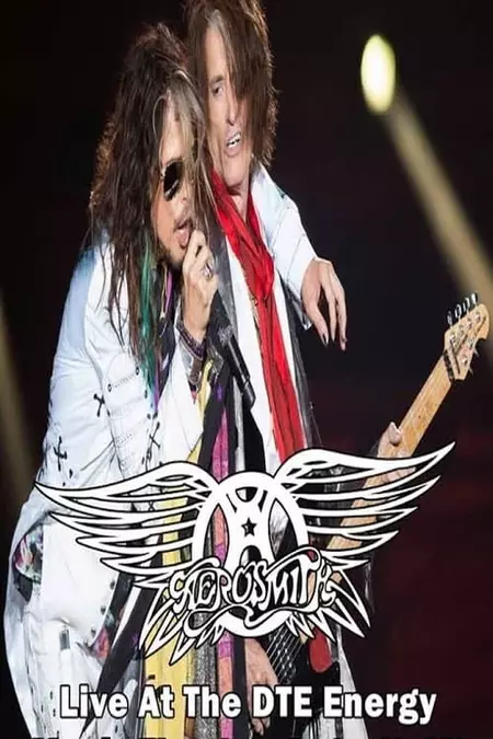 Aerosmith Live In Detroit Proshot