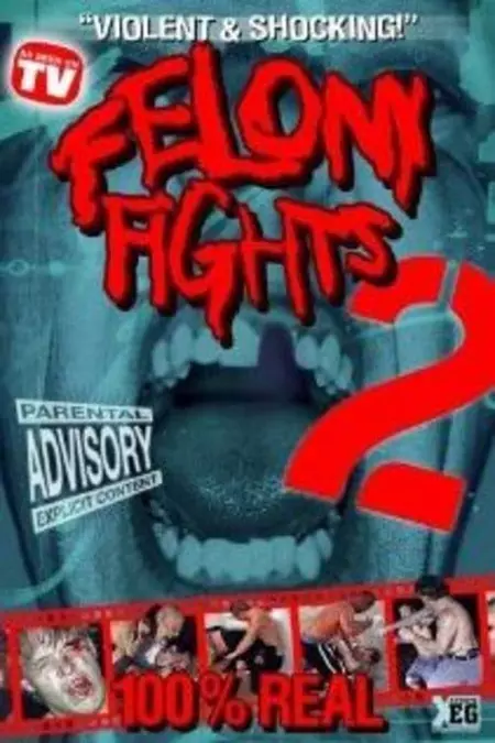 Felony Fights 2: Return of the Games