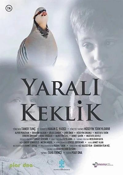 Yaralı Keklik