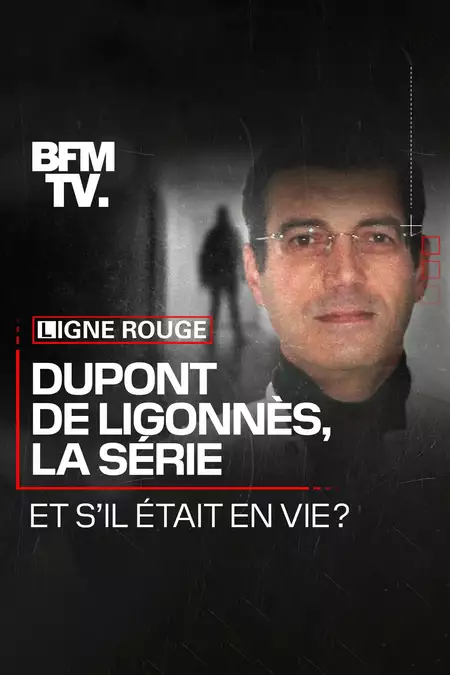 Dupont de Ligonnès, la série