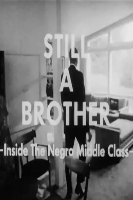 Still A Brother: Inside the Negro Middle Class