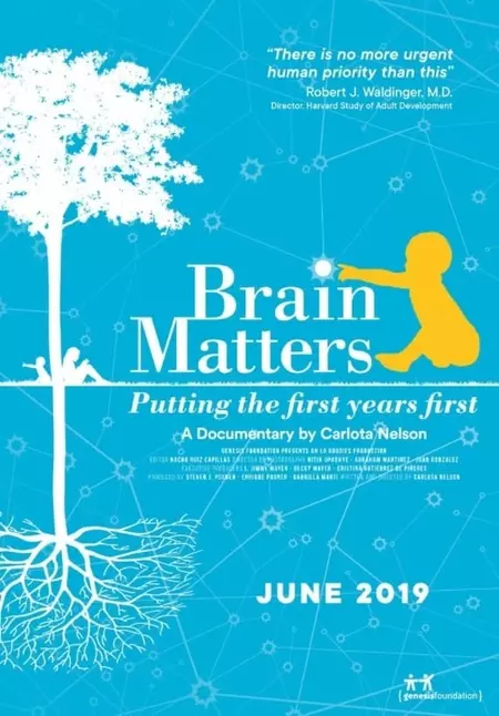 Brain Matters