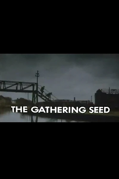 The Gathering Seed