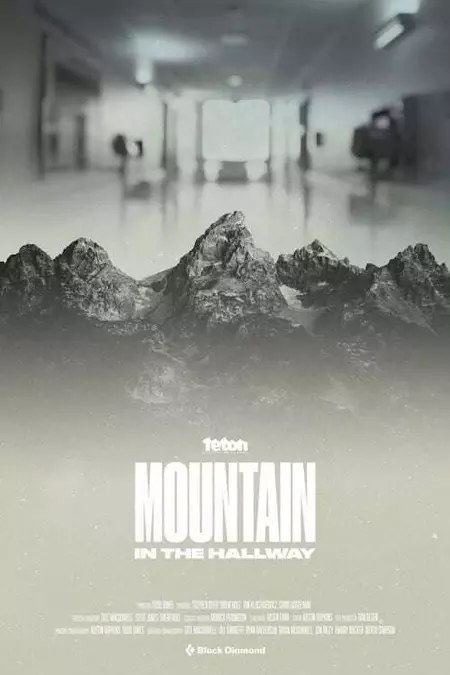 Mountain in the Hallway