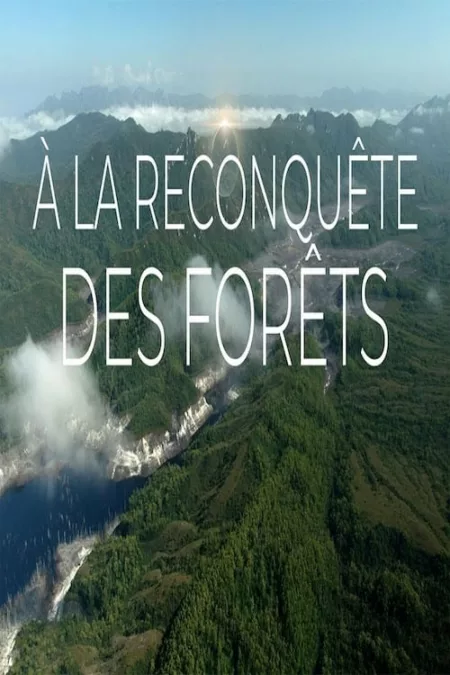 À la reconquête des forêts