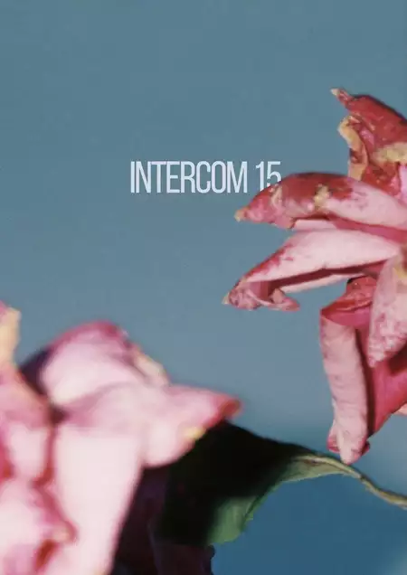 Intercom 15