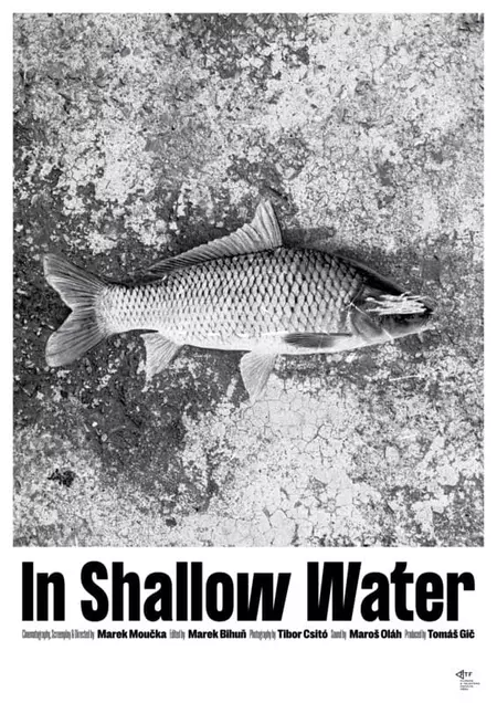 In Shallow Water