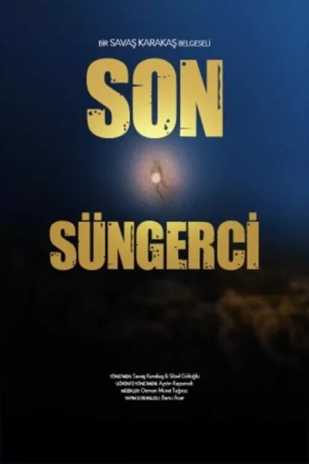 Son Süngerci