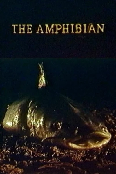 The Amphibian