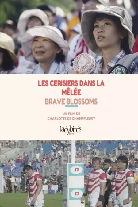 Les Cerisiers dans la Mêlée – Brave Blossoms