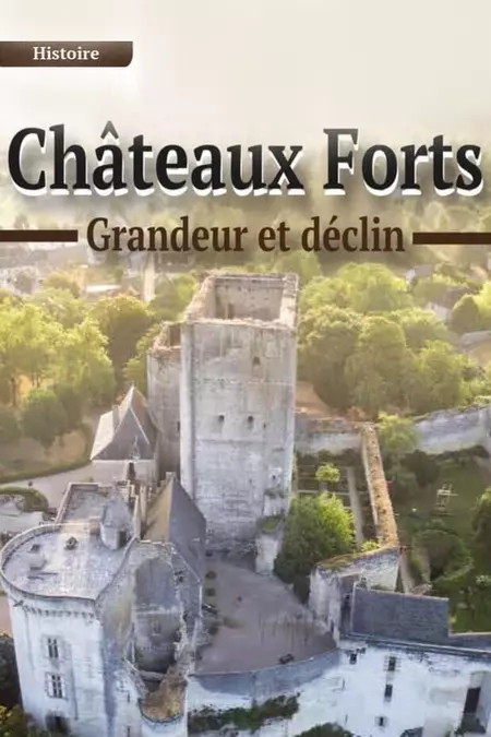 Châteaux forts : grandeur et déclin