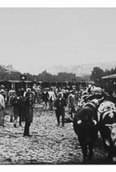 Marché aux boeufs, I